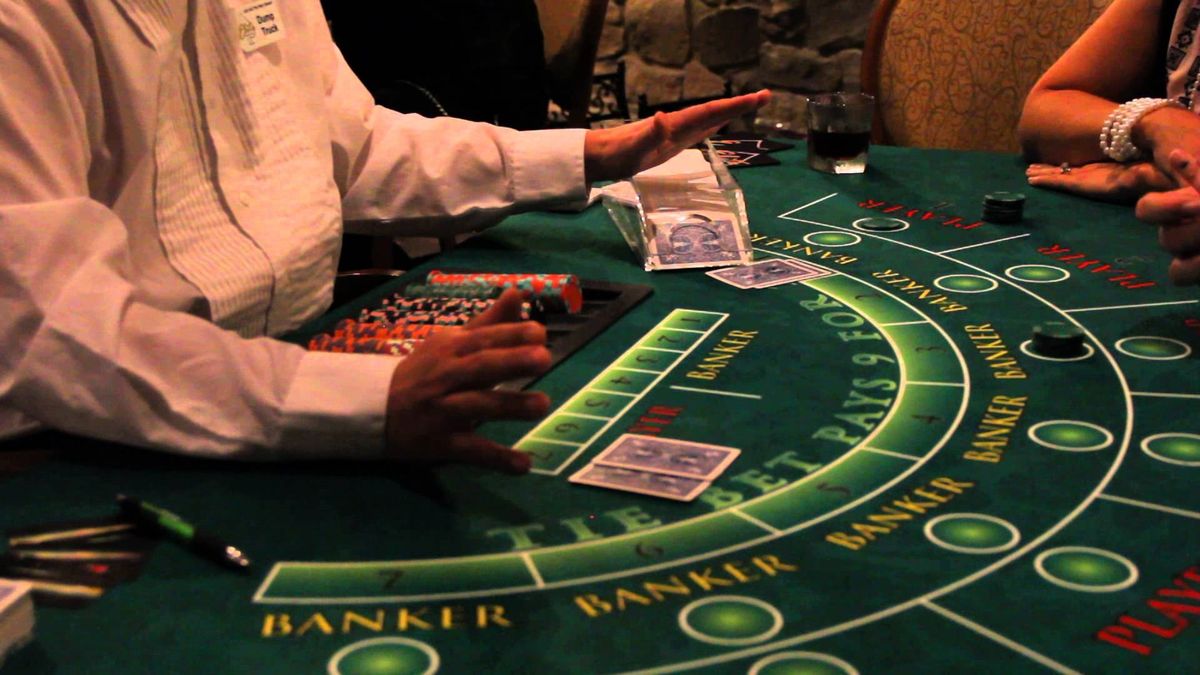 WinZO Live Betting